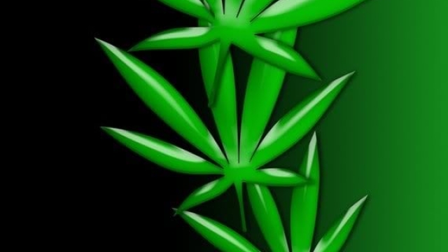 Green Dreams: Exploring the Pioneering World of Marijuana