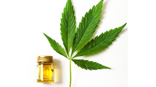 The Incredible Health Benefits of CBD Products: Unlocking Nature’s Potential