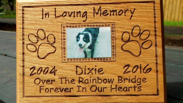 Forever in Our Hearts: Honoring Beloved Pets with Meaningful Memorials