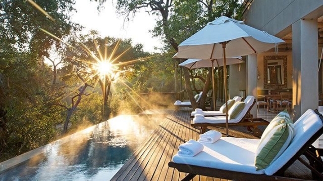 Roaming in Style: Unveiling the World of Luxury Safari Accommodation