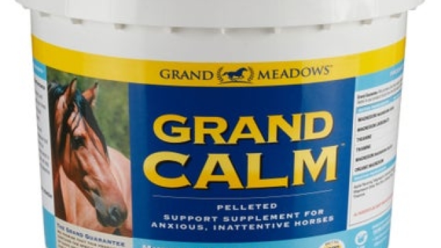 The Essential Guide to Horse Health Supplements: Boosting Equine Wellness