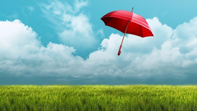 Protect Your Business: The Ultimate Guide to Business Insurance