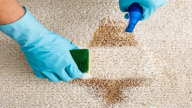 Revive Your Space: A Guide to Sparkling Clean Carpets