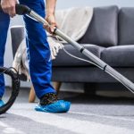 Reviving Your Home: The Ultimate Guide to Fresh and Clean Carpets