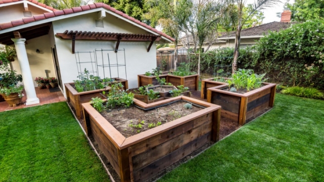 Blooming Paradise: Unleashing the Magic of Garden Beds