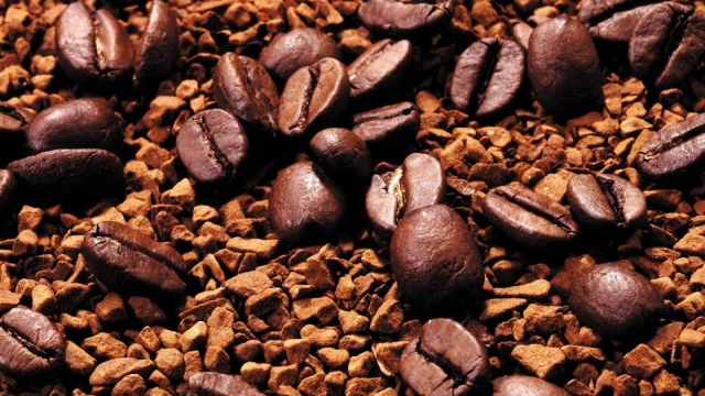 Uncovering the Rich Flavors of Organic Coffee Beans