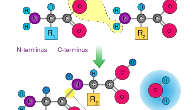 The Power of Peptides: Unlocking the Secret to Radiant Skin