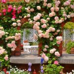 Bloom Where You’re Planted: Essential Gardening Tips for Every Green Thumb