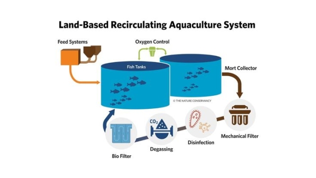 Revolutionizing the Waters: The Future of Aquaculture Technology