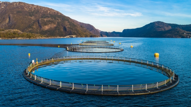 Revolutionizing the Waters: The Future of Aquaculture Technology