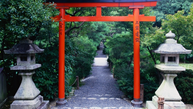 Whispers of the Divine: Exploring the Enchantment of Shinto Shrines in Japan