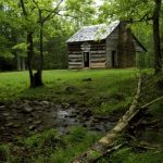 Whispers of the Woods: The Timeless Allure of Log Cabins and Homes