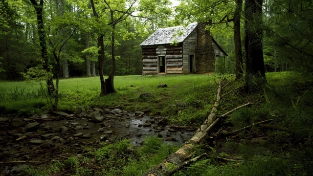 Whispers of the Woods: The Timeless Allure of Log Cabins and Homes