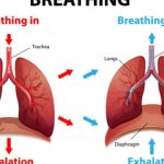 Breathe Easy: Navigating the World of Inhalation Devices