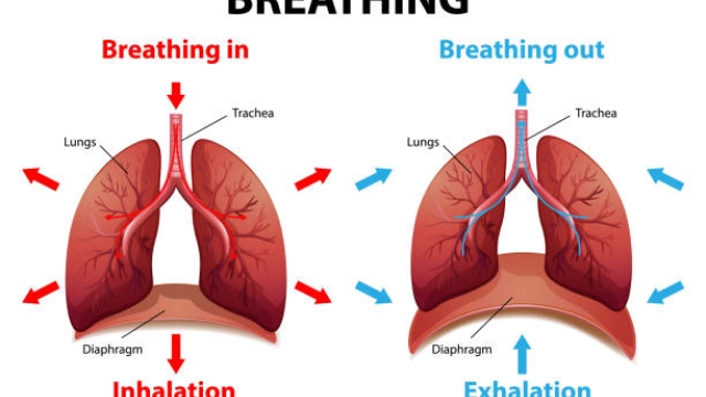 Breathe Easy: Navigating the World of Inhalation Devices