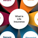 Insuring Your Tomorrow: Unveiling the Secrets of the Best Insurance Agencies