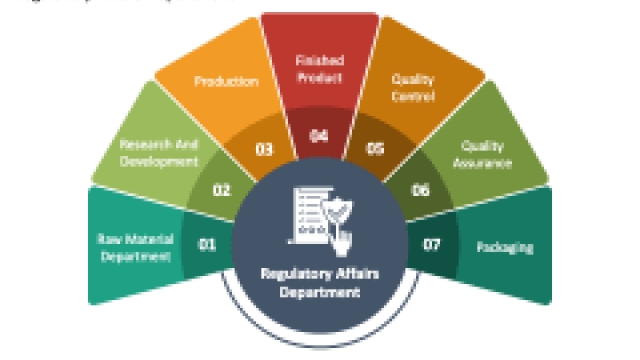 Developing Effective Regulatory Strategies for Medical Devices
