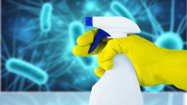 The Importance of Trust in Cleaning Services